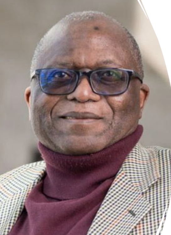 Professor Innocent Kamwa