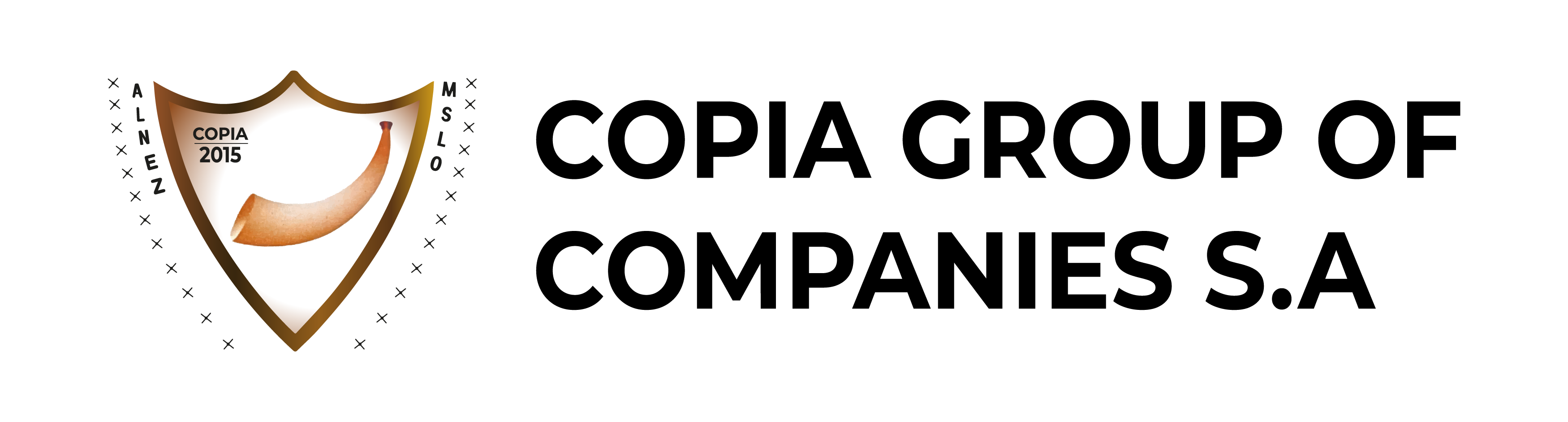 Platinum Sponsor